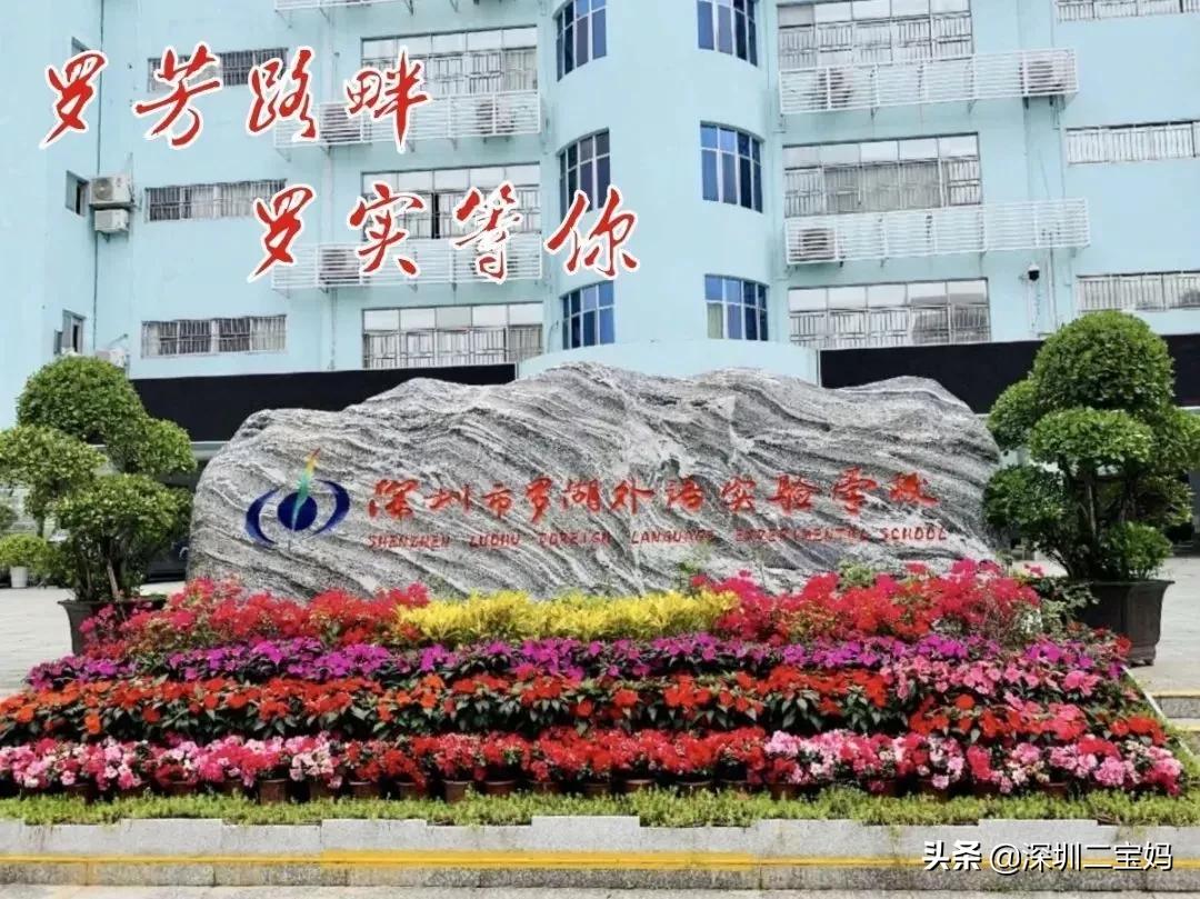 罗外教育集团罗湖外语实验学校,深圳市罗外教育集团附属幼儿园