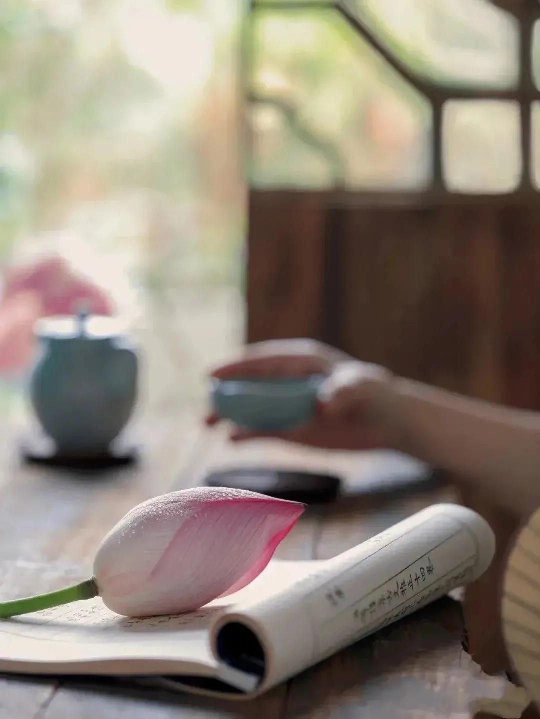 断舍离是我一生的必修课,断舍离才是后半生最好的活法