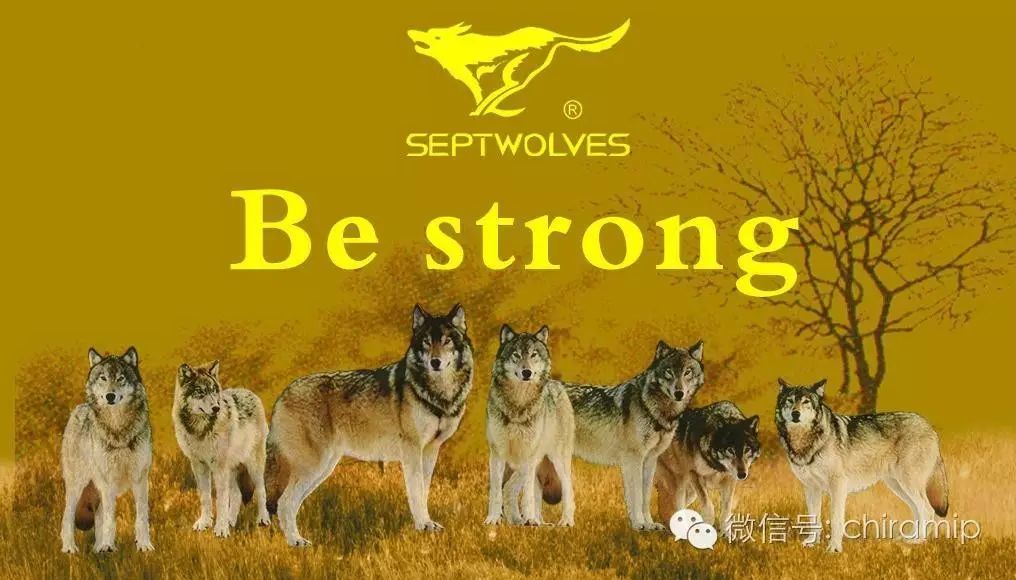 你骑过马吗,你骑过摩托车吗