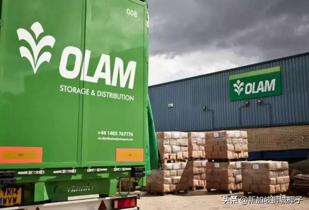 新加坡前十公司,新加坡十大公司排行榜