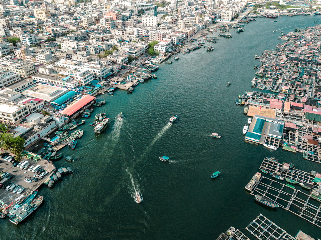 海南必玩猴岛与呆呆丨看萌呆猕猴,呆呆岛发呆