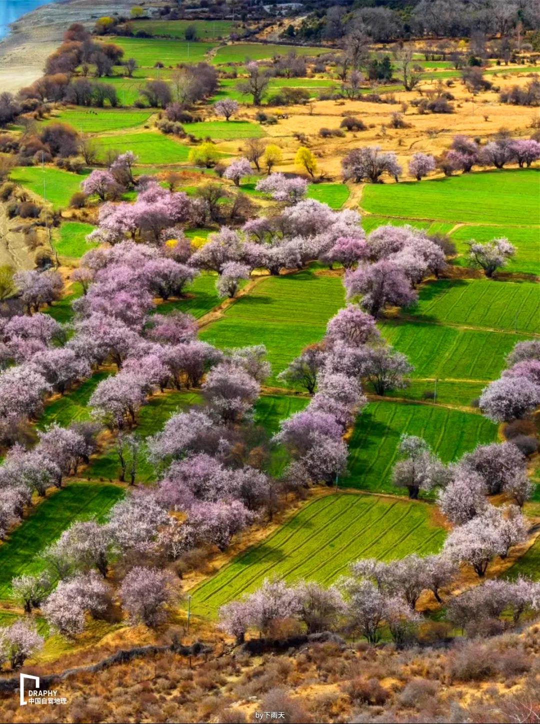 老司机带你跑十天高速,34小时1600公里拉力赛世界纪录