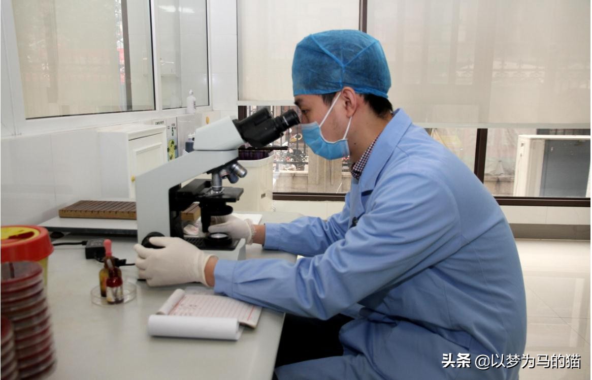 专科生最好就业的专业排名,专科毕业就业率最好的专业