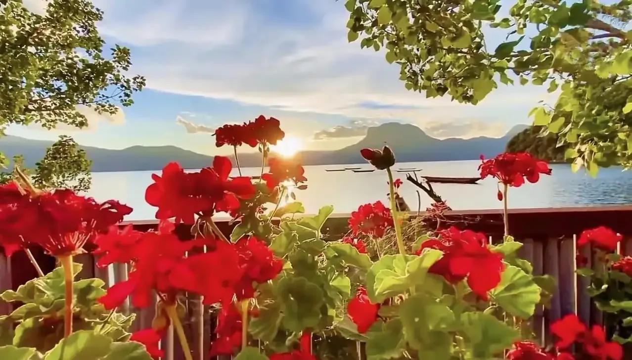 《提醒幸福》作文500字,提醒幸福毕淑敏原文赏析