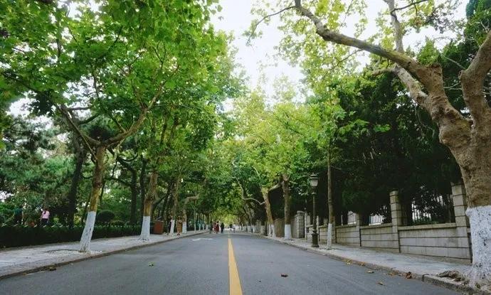 青岛是一座非常值得参观的城市,青岛不是一线城市吗