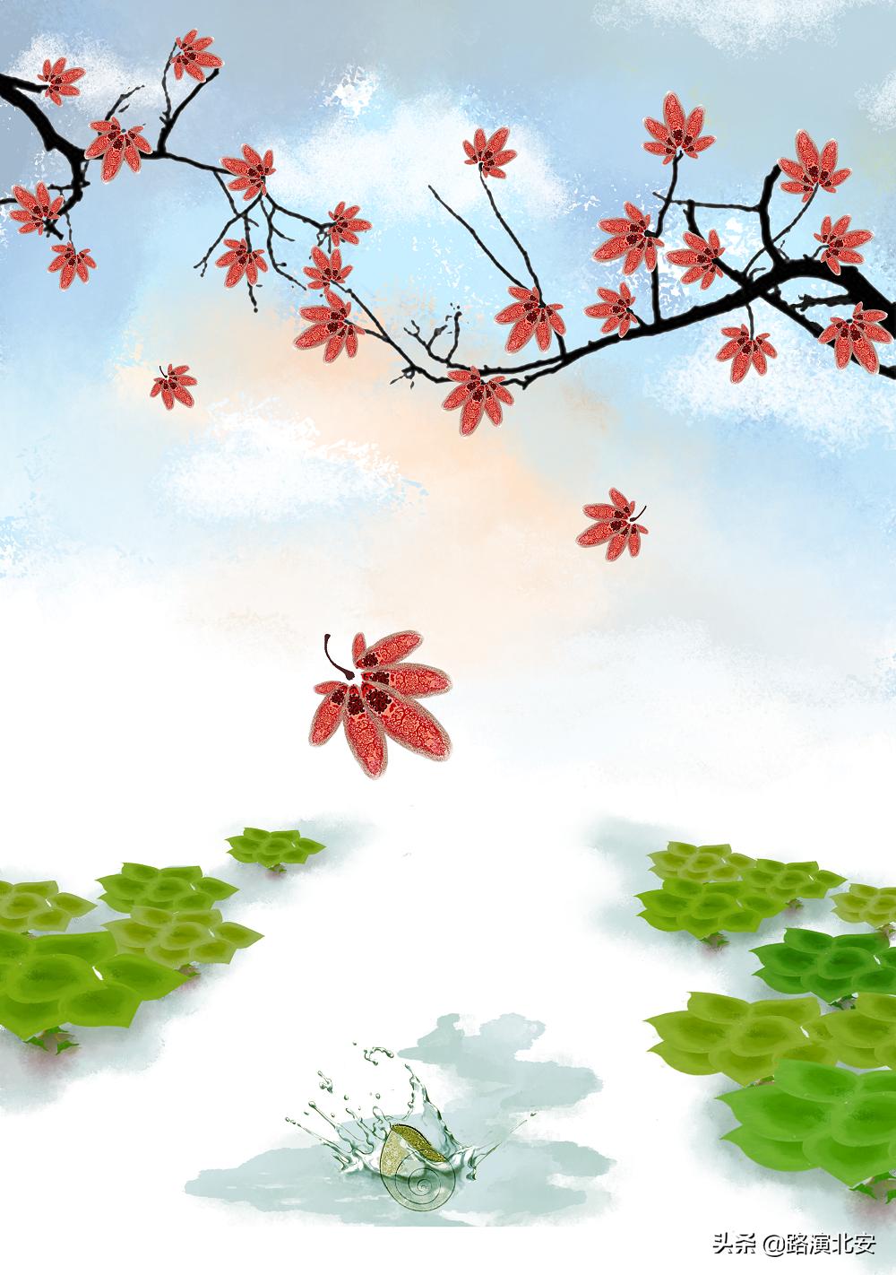 生命的故事绘本视频,生命的故事绘本绘画