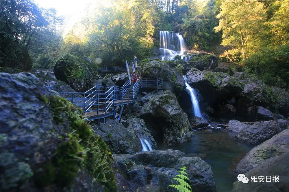 来雅安旅游,雅安二郎山休闲特色民宿