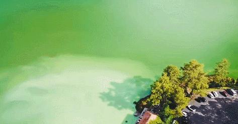 美娜多出海的图片,美娜多成为潜水天堂的原因