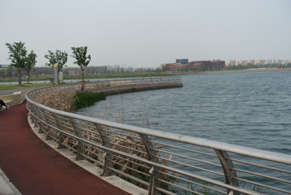 上海奉贤新城的亮点,奉贤南桥镇奉贤新城现状