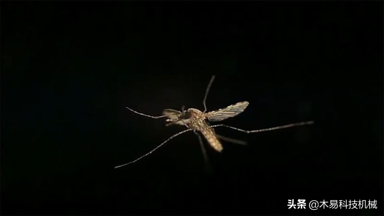 高科技灭蚊灭蟑螂小神器,自制灭蚊子神器第一名