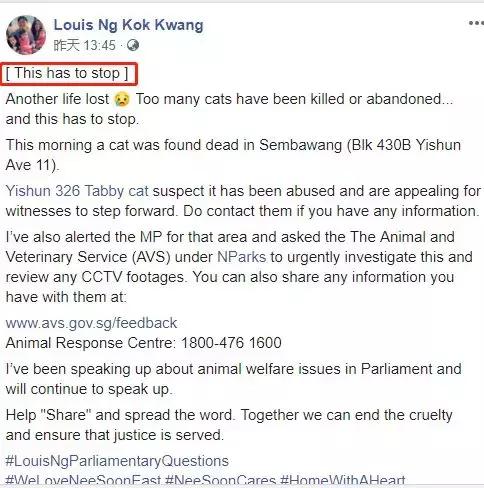 黑猫死后会发生哪些事,黑猫死亡真实事件