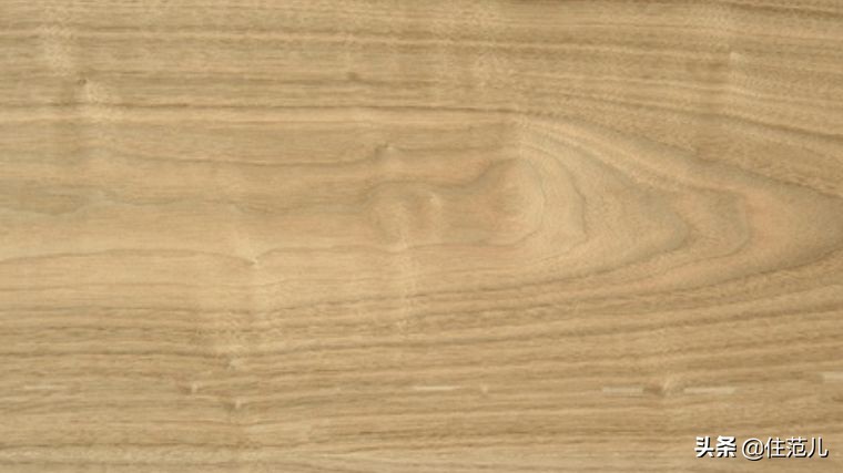 知否知否宋代装修,知否房子装修