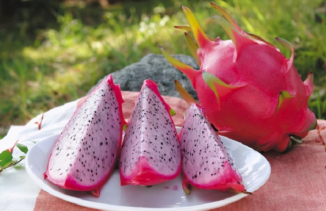 怎么买火龙果又香又甜,买火龙果怎么挑好吃