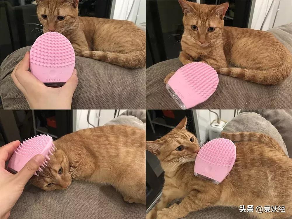 lumi洗脸仪与luna洗脸仪的对比,初代网红luna洗脸仪