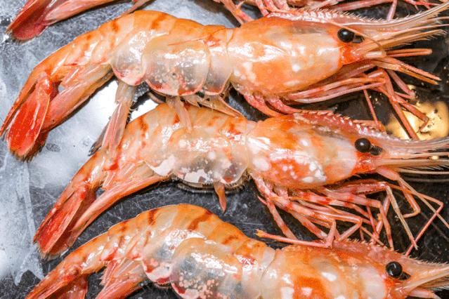 帝王蟹波龙象拔蚌,陆家嘴帝王蟹