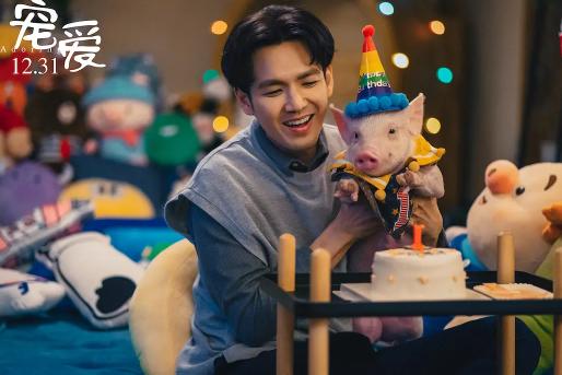 宠爱和尊重,爱一个人就是无条件的宠爱