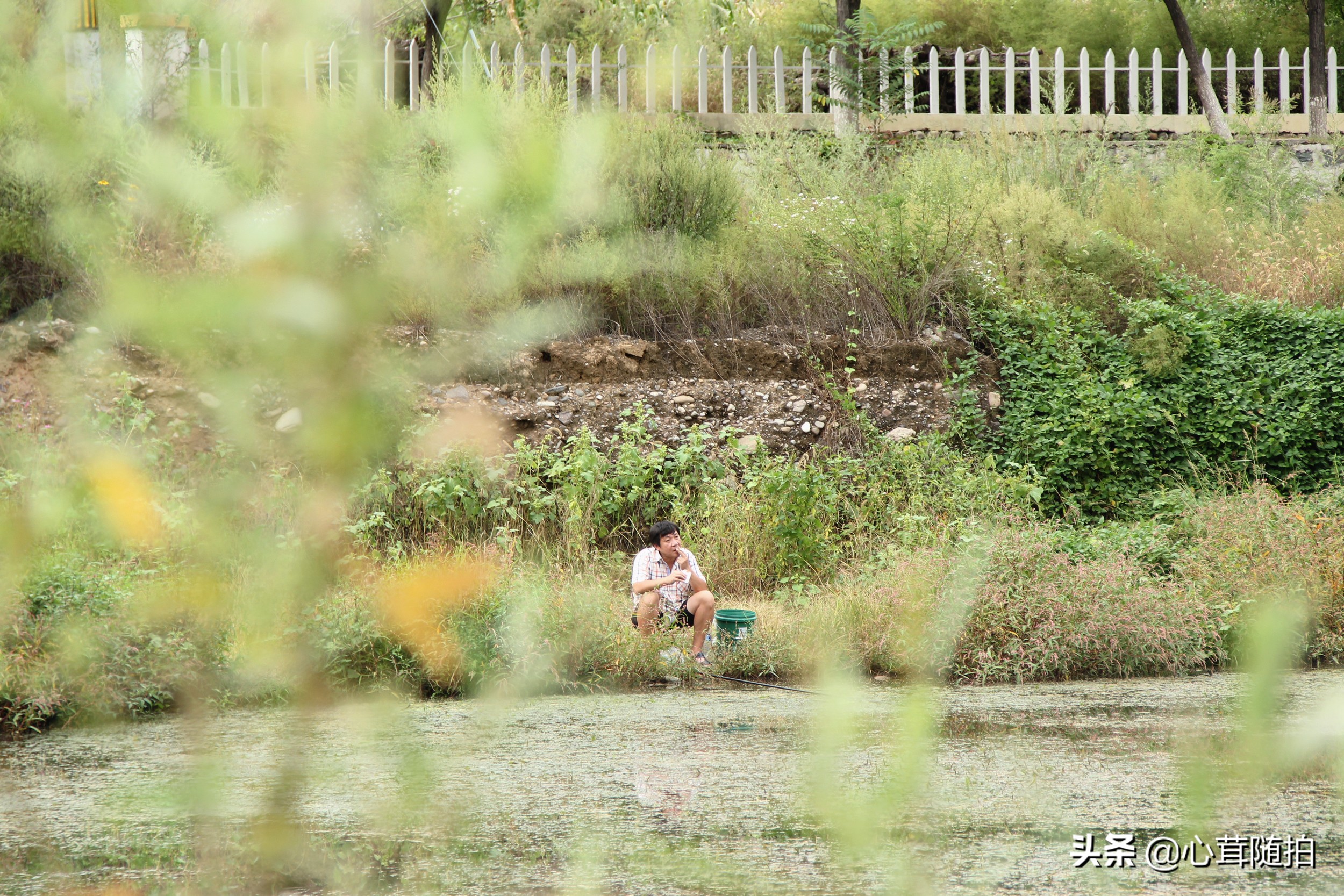 自驾白河湾,白河湾自然风景区自驾