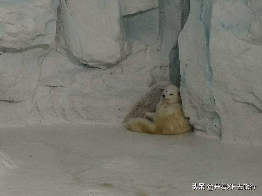 说走就走的旅行攻略省钱一天,说走就走的旅行攻略大全