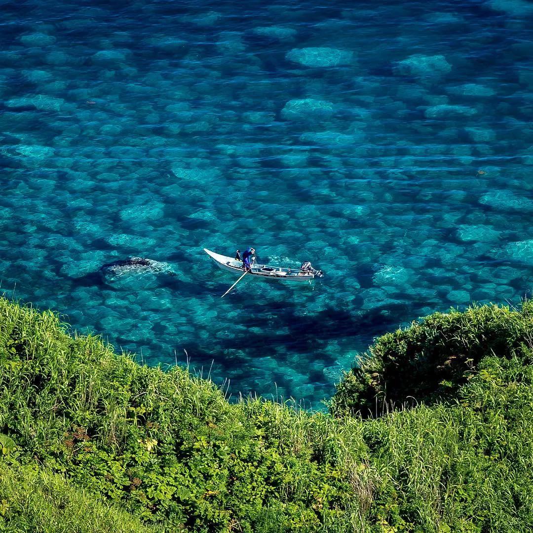 北海道的雪有多美,北海道到底有多吸引人