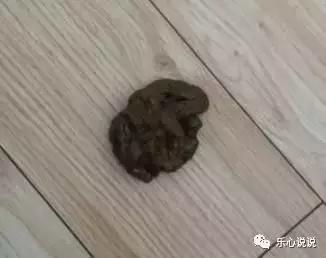 鸡拉黑粪便怎么治疗,鸡拉黑便的原因及治疗方法