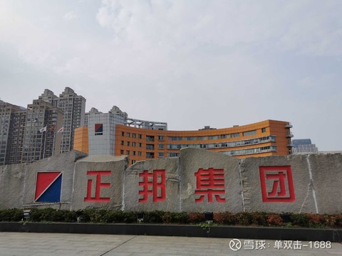 正邦科技股票还会跌吗,正邦股票现在卖不出去怎么办