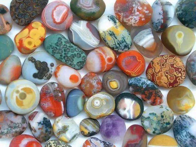 上海特产必买清单带回家过年 (过年有哪些特产可以带回家)