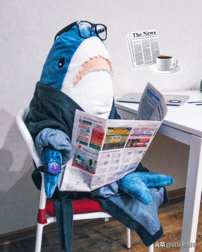 宜家小鲨鱼,为什么宜家鲨鱼火了