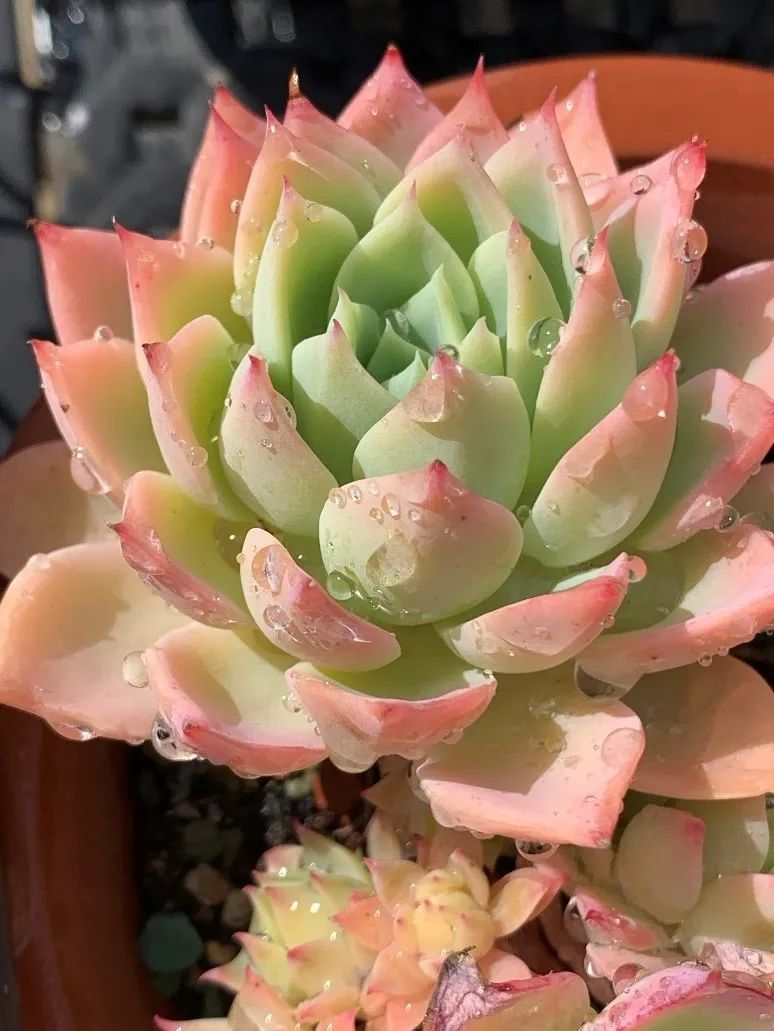 禁足的日子收获颇多,禁足