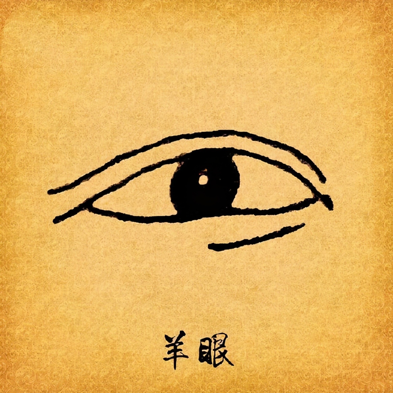 为啥说“鸡眼鼠目总是贱，蛇眼羊目莫为邻”？老祖宗的话有道理吗