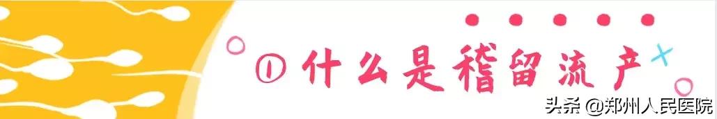 这个小镜子，照看着世上最贵的“房子”