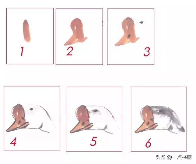 鹅画法可爱简单在陆地上行走,图文教程鹅写意画法