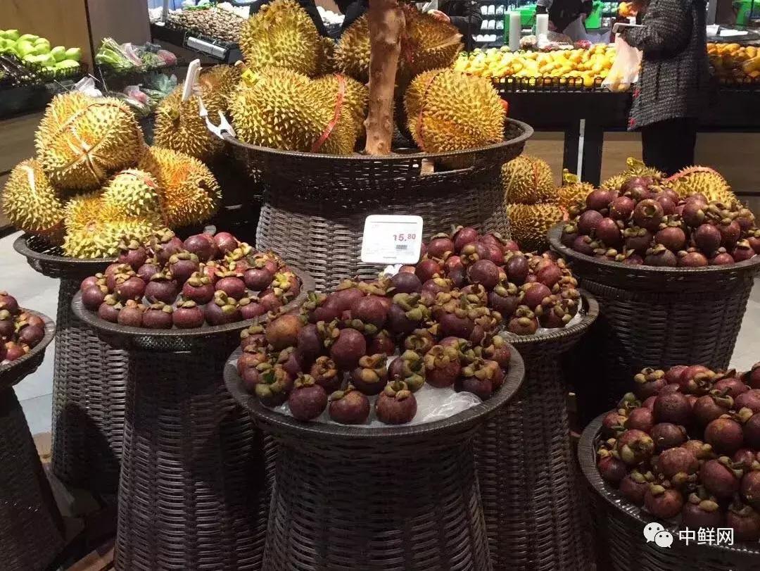 山竹教程完整视频,山竹运输怎么保新鲜