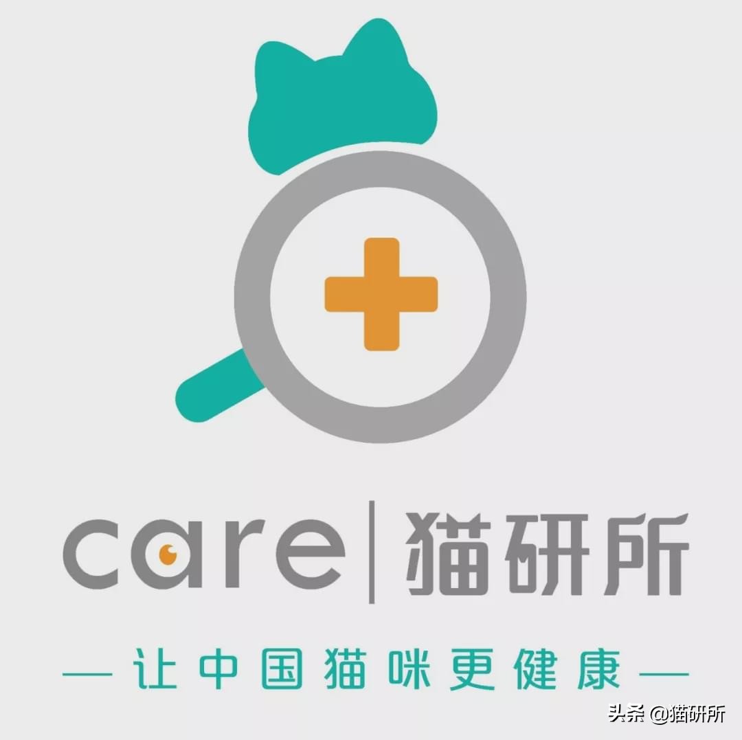 猫咪打了抗体会有什么症状表现,疫苗抗体多久检查一次