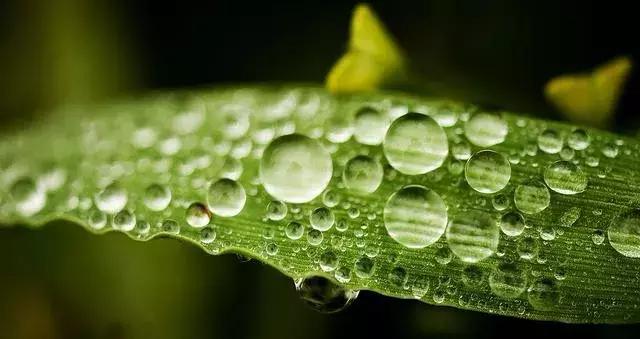 照片这么拍简直美出天际,原来拍照可以这么拍惊艳到我了