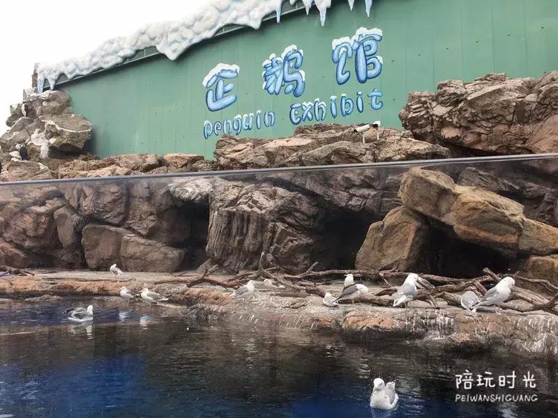 长隆什么时候去最好玩,一个人带两娃出去长隆有危险吗