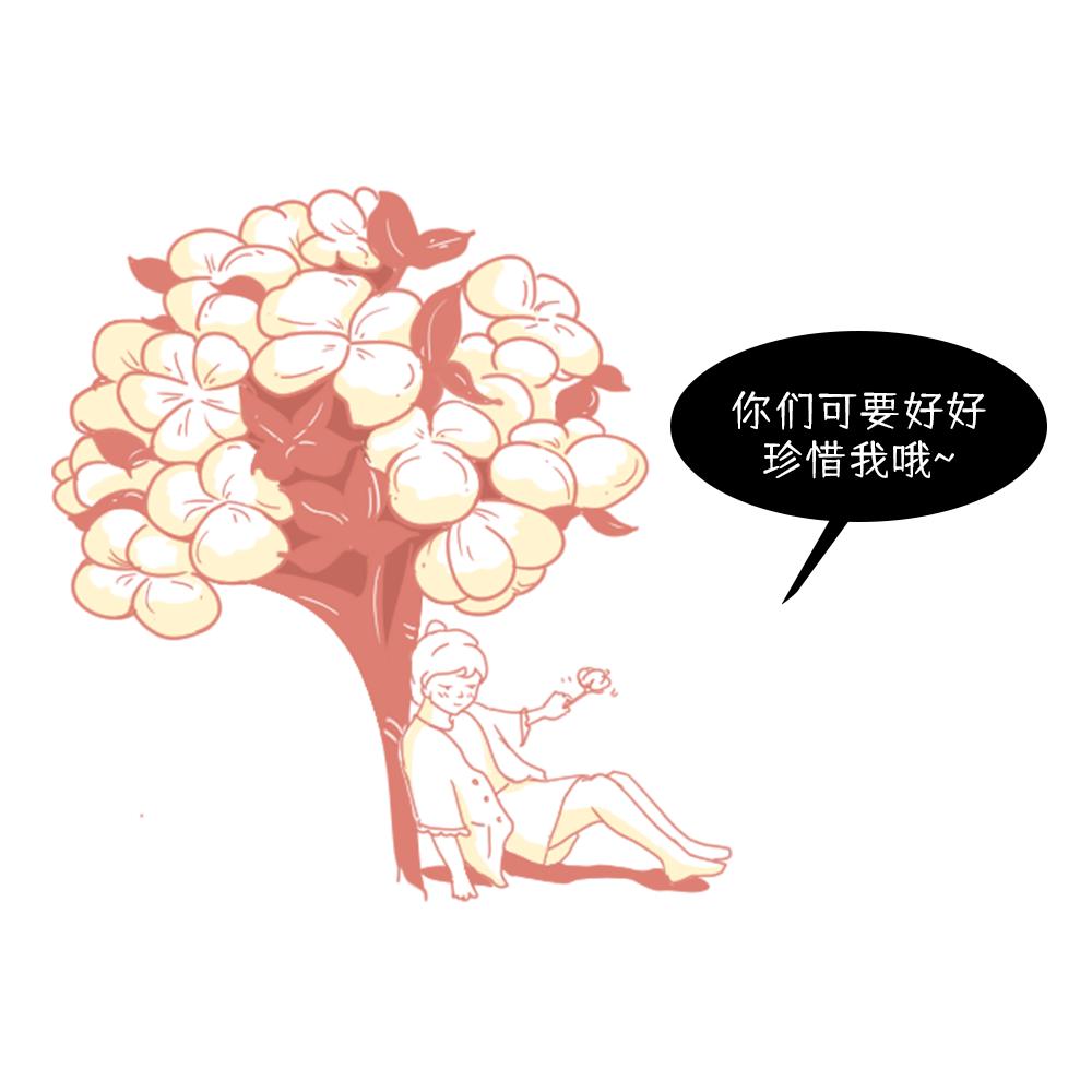 养活大量人口的粮食作物,正宗新疆新棉花大量上市