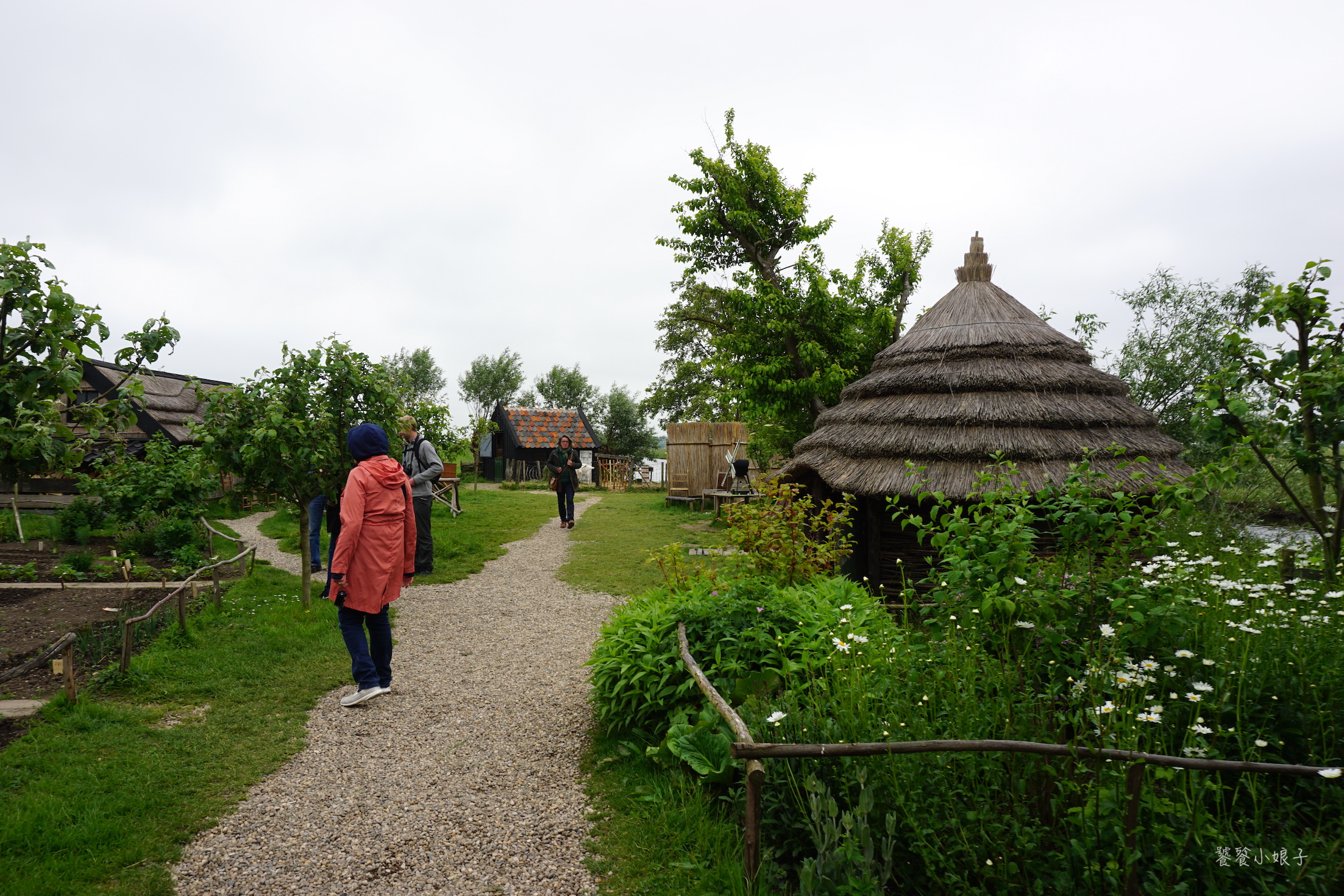 荷兰风车为什么这么多,荷兰为什么被称为风车国