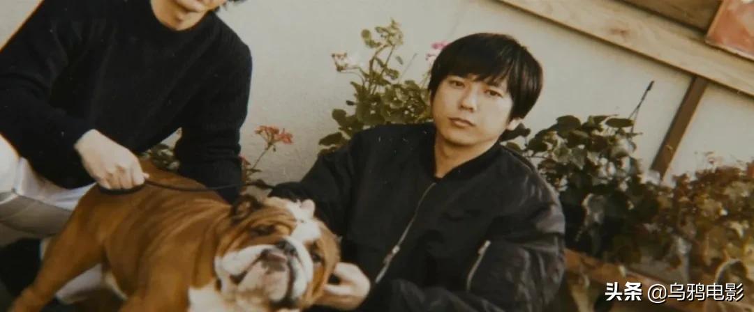 影帝影后的电影不断扑街,影帝影后烂片