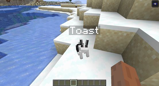 命名牌冷知识,在我的世界中命名牌的冷知识