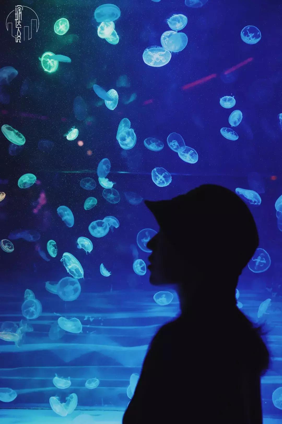 深圳市贰麻酒馆,深圳市贰麻酒馆餐饮管理有限公司