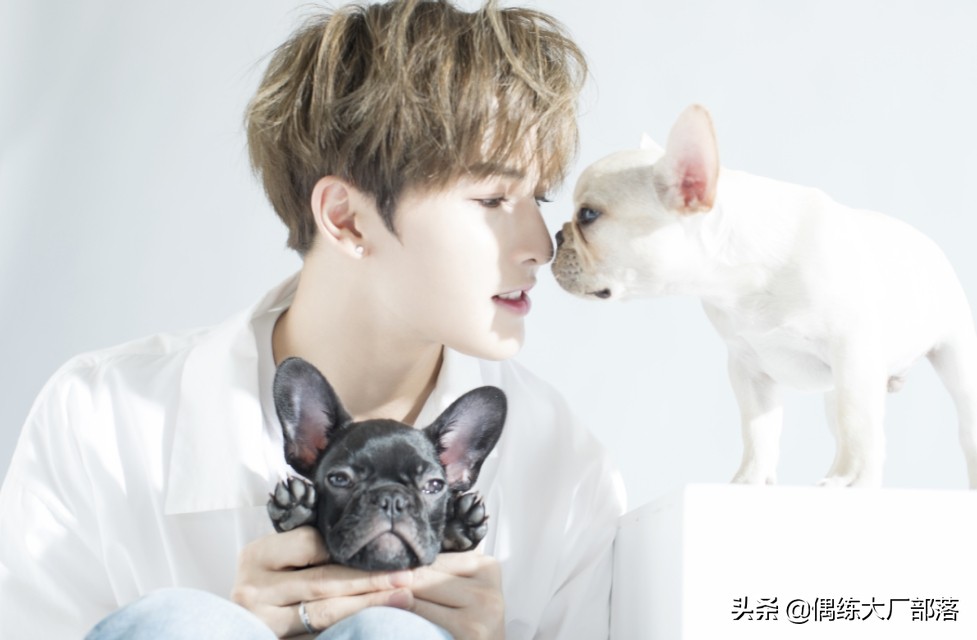 npc各个成员粉丝名,npc的粉丝名字