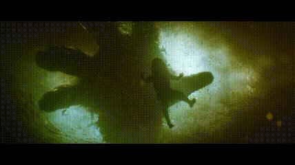 金刚怪兽宇宙,怪兽宇宙漫画里金刚有什么能力