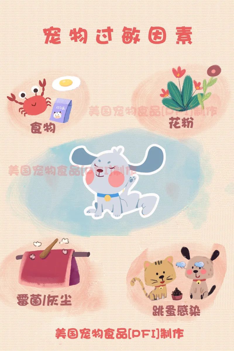 宠物过敏对身体有什么危害,对宠物毛过敏有什么症状