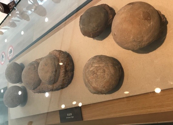 趣谈成语学科学（15）：叶公好龙续新篇（上）