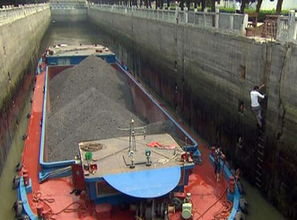 我的家乡周口沈丘作文,我的家乡沈丘论文