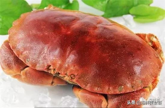 好吃不贵的海鲜种类有哪些,最好吃又最常见海鲜有几种