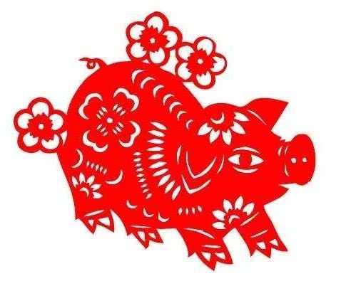 从丁亥到己亥—武昌水果湖中学六六届高三（1）班同学聚会本命年