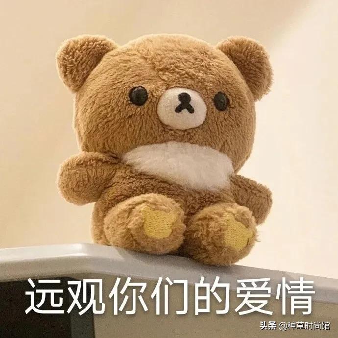 对不起是我不配什么梗,对不起是我不配伴奏