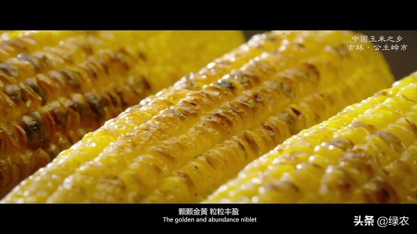 哪个玉米最好吃卖得最快,玉米最好吃的是哪种