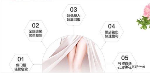 丽美人个人资料,丽美人月季